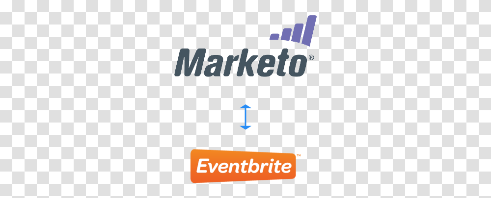 Marketo, Alphabet, Word Transparent Png