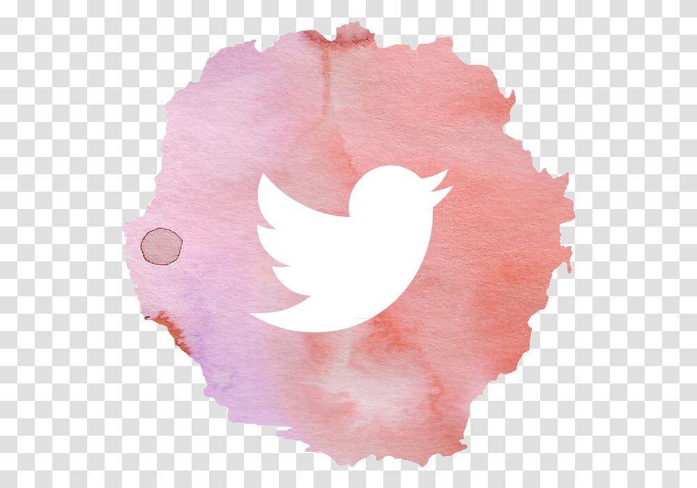 Markiplier Scroll Models Of The Week Twitter Icon Pastel Color, Plant, Leaf, Bird, Animal Transparent Png