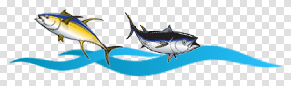 Marlin Clipart Atlantic Blue Marlin, Fish, Animal, Swordfish, Sea Life Transparent Png
