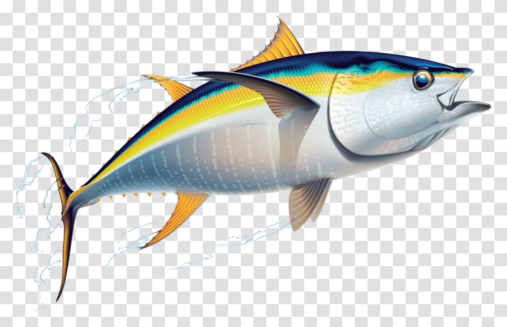 Marlin Clipart Offshore Fishing Tuna Clipart, Sea Life, Animal, Bonito Transparent Png