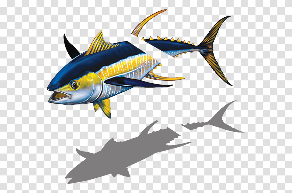 Marlin Clipart Tuna Billfish, Animal, Sea Life, Bonito, Bird Transparent Png