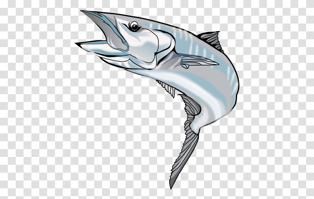 Marlin Clipart Wahoo Wahoo Fish Sea Life Animal Dolphin Mammal Transparent Png Pngset Com