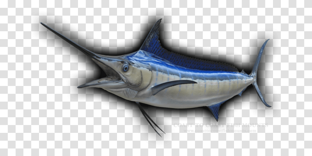 Marlin Fish Atlantic Blue Marlin, Animal, Swordfish, Sea Life Transparent Png