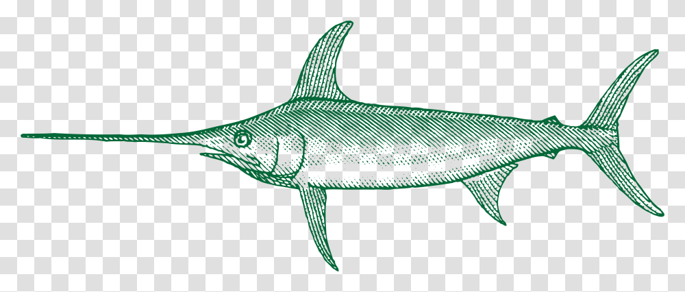 Marlin Fish Swordfish, Animal, Sea Life, Shark Transparent Png