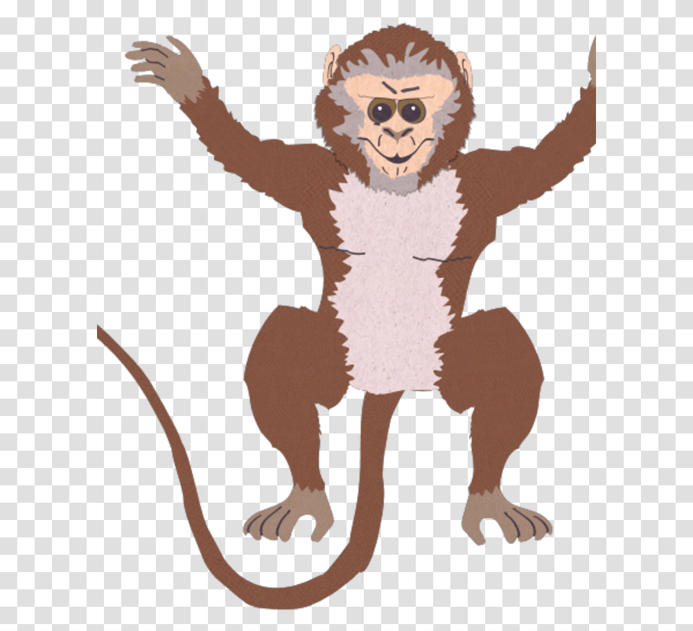 Marmoset, Person, Animal, Mammal, Wildlife Transparent Png