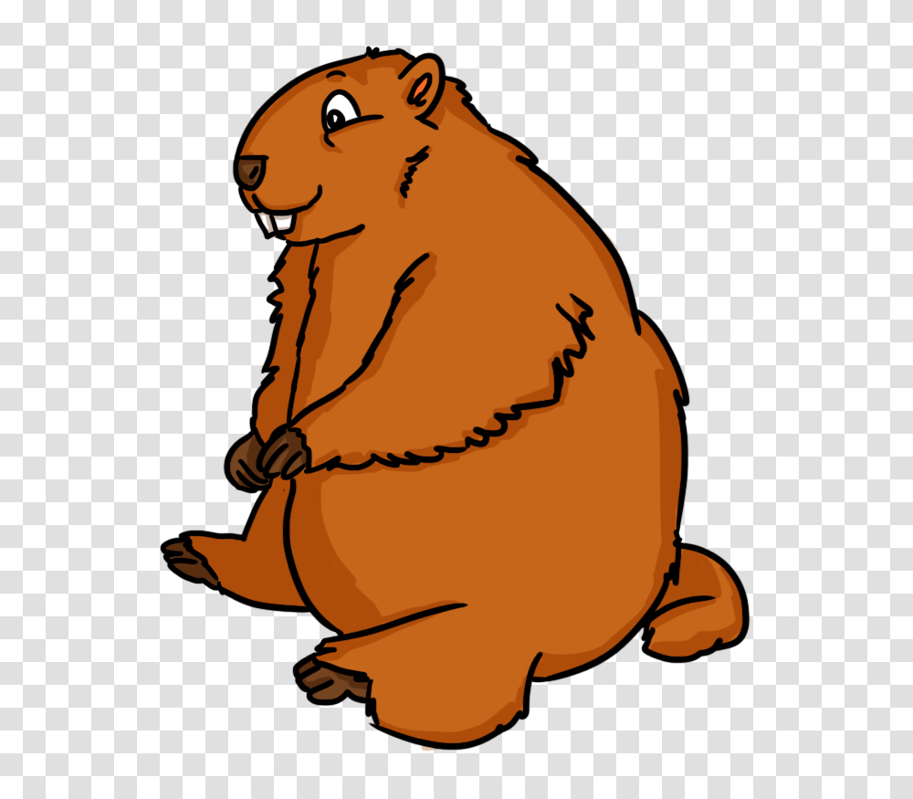 Marmot Clipart February, Mammal, Animal, Wildlife, Rodent Transparent Png