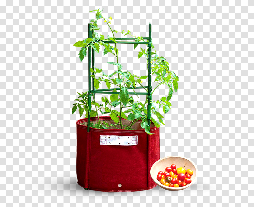 Maroon Big Tomato Fabric Planter 42 X 41cm With Stacking Kit Collapsible Planting Box, Vegetation, Food, Flower, Produce Transparent Png