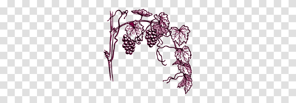 Maroon Grape Vine Clip Art, Drawing, Pattern, Purple Transparent Png