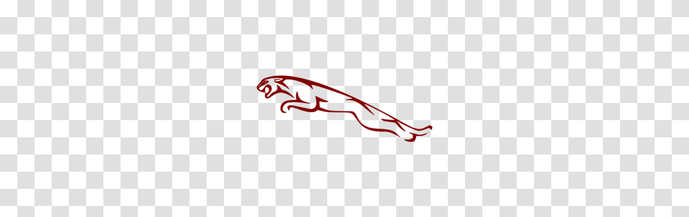 Maroon Jaguar Icon, Sweets, Food, Confectionery Transparent Png