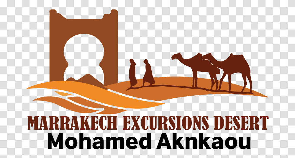 Marrakech Excursions Desert Camel Logo, Animal, Mammal, Art, Poster Transparent Png