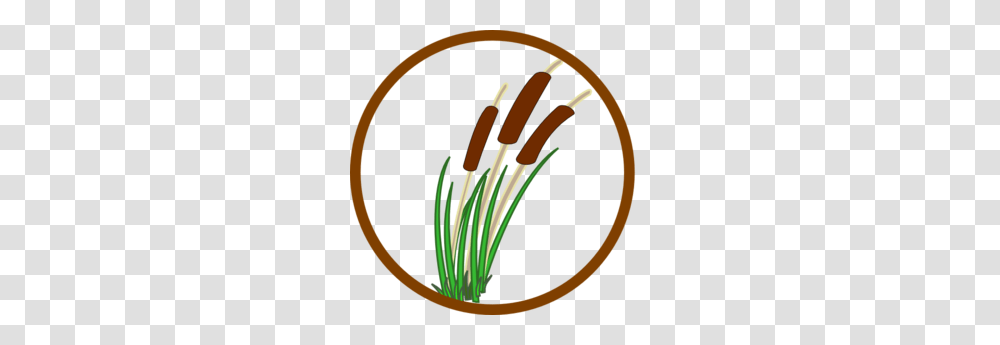 Marsh Clip Art, Plant, Produce, Food, Vegetable Transparent Png