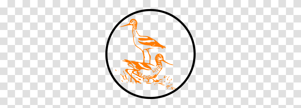 Marsh Clip Art, Waterfowl, Bird, Animal, Stork Transparent Png