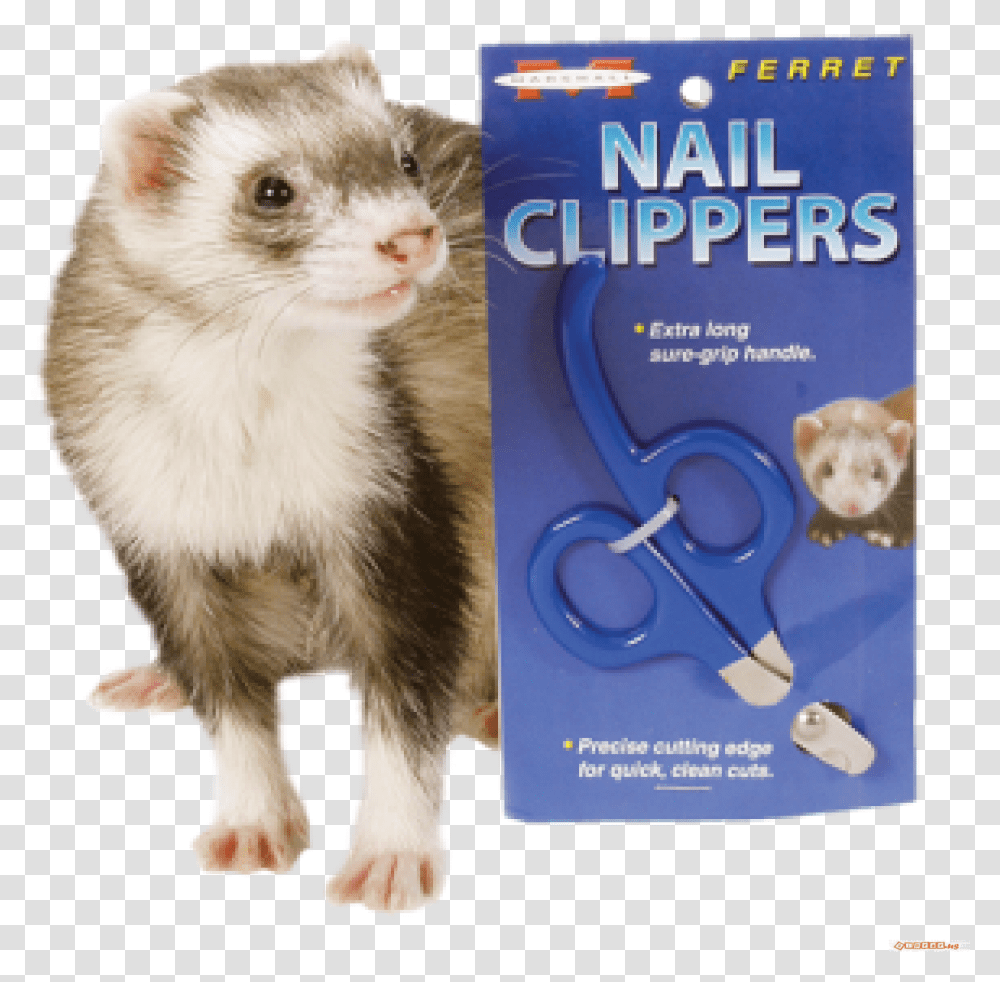Marshall Ferretrodent Nail Clippers Furet Marshall, Mammal, Animal, Rat, Scissors Transparent Png