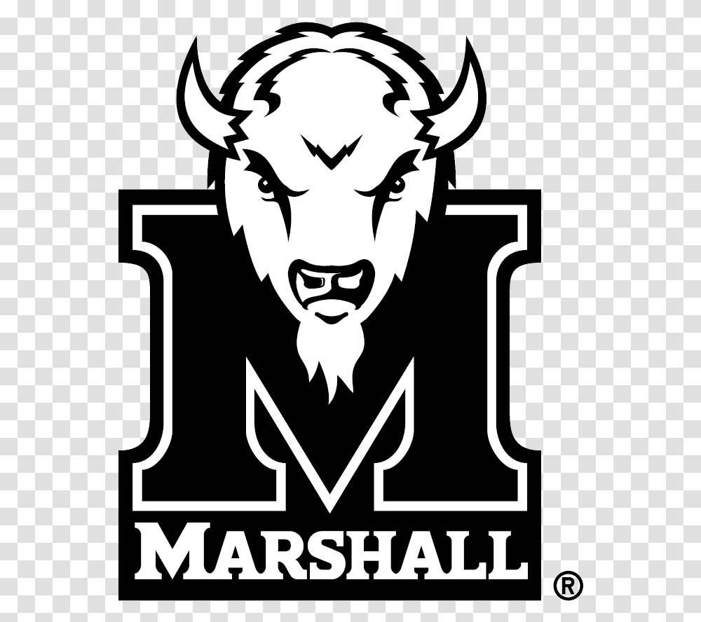 Marshall Thundering Herd, Stencil, Poster, Advertisement Transparent Png