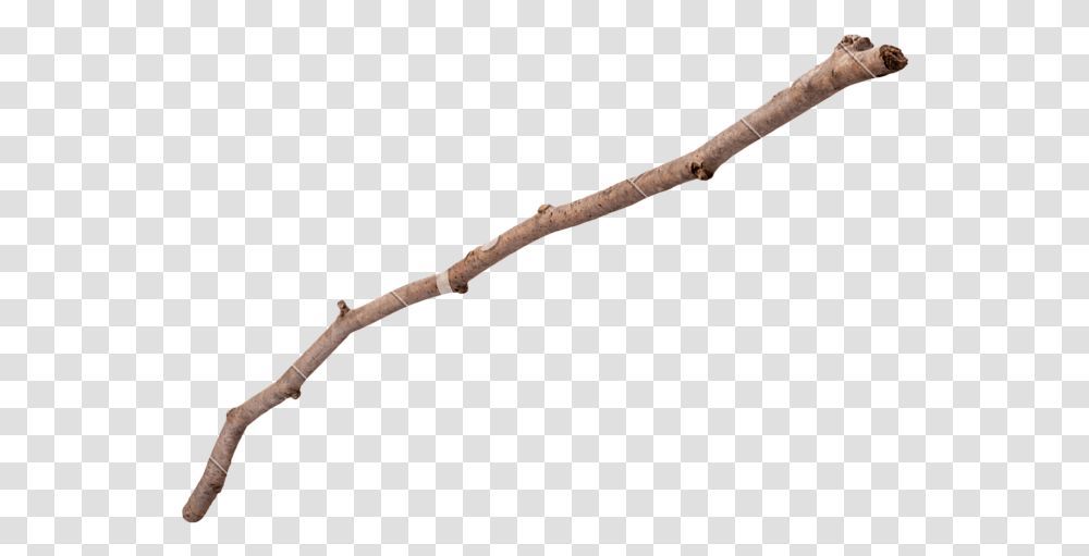 Marshmallow In A Stick, Cane, Wand, Weapon, Weaponry Transparent Png
