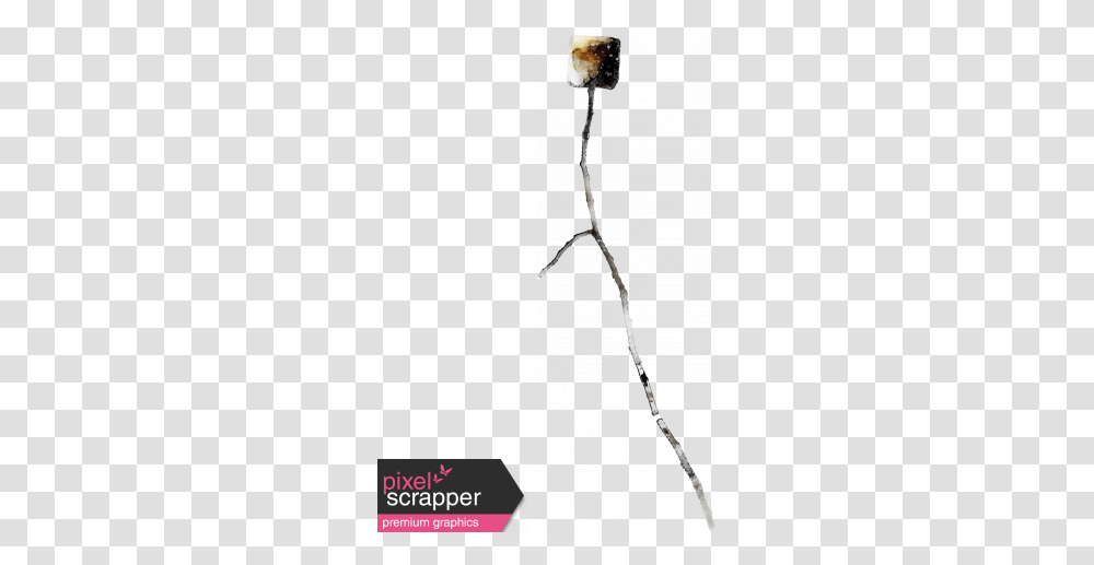 Marshmellow Twig, Plant, Animal, Flower, Bird Transparent Png