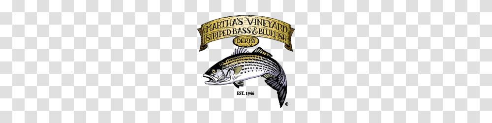 Marthas Vineyard Striped Bass And Bluefish Derby, Animal, Trout, Label Transparent Png