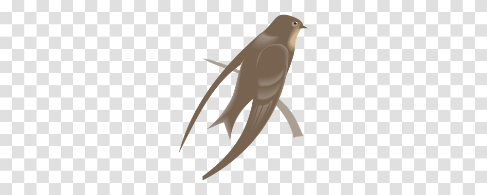 Martin Animals, Bird, Weapon, Scissors Transparent Png