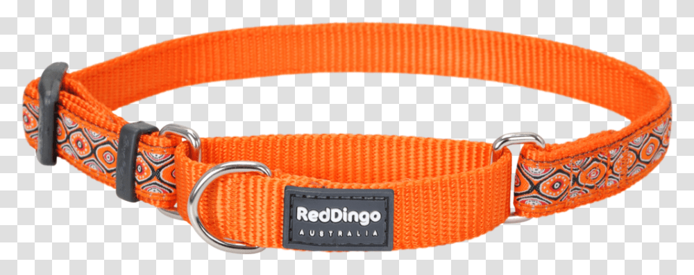 Martingale Snake Eyes Orange Designer Dog Collar Dog Collar, Belt, Accessories, Accessory, Buckle Transparent Png