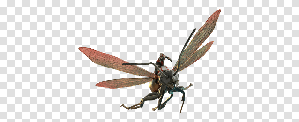 Marvel Ant Man On Flying Ant Collectible Figure, Dragonfly, Insect, Invertebrate, Animal Transparent Png