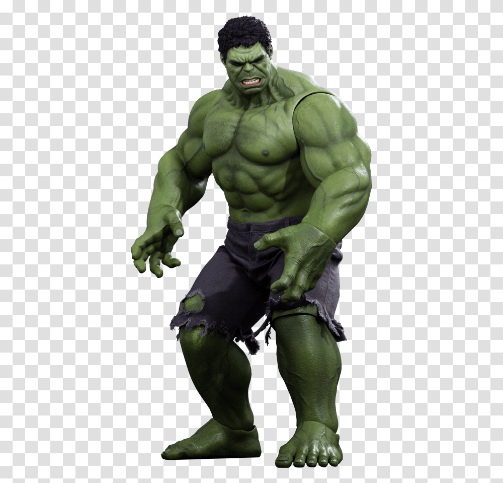 Marvel Hulk Sixth Scale Figure By Hot Toys Avengers Hulk Hot Toys, Person, Hand, Torso, Alien Transparent Png