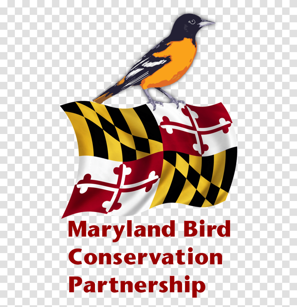 Maryland Bird Conservation Partnership Maryland State Flag, Pillow, Cushion, Animal, Clothing Transparent Png