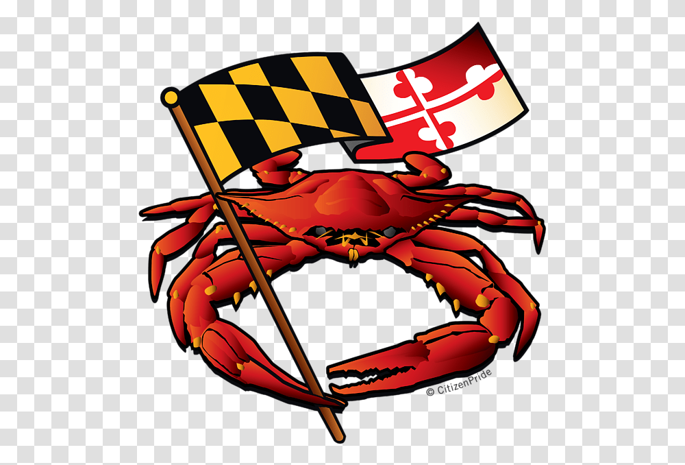 Maryland Flag Crab, Sea Life, Animal, Seafood, Dynamite Transparent Png