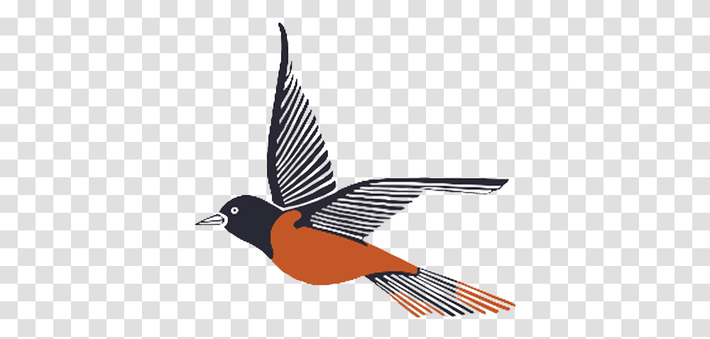 Maryland Orioles Old World Flycatchers, Animal, Bird, Robin, Swallow Transparent Png