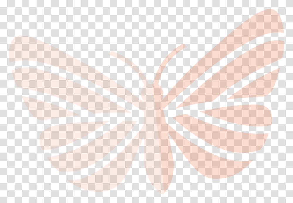 Mas Mariposas Butterfly, Plant, Leaf, Pattern, Wasp Transparent Png