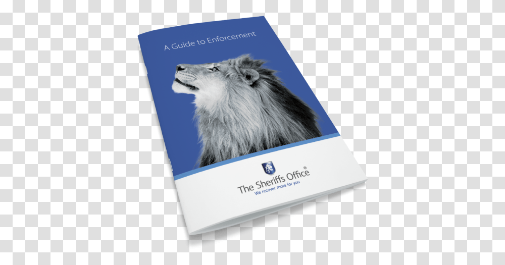 Masai Lion, Advertisement, Poster, Flyer, Paper Transparent Png