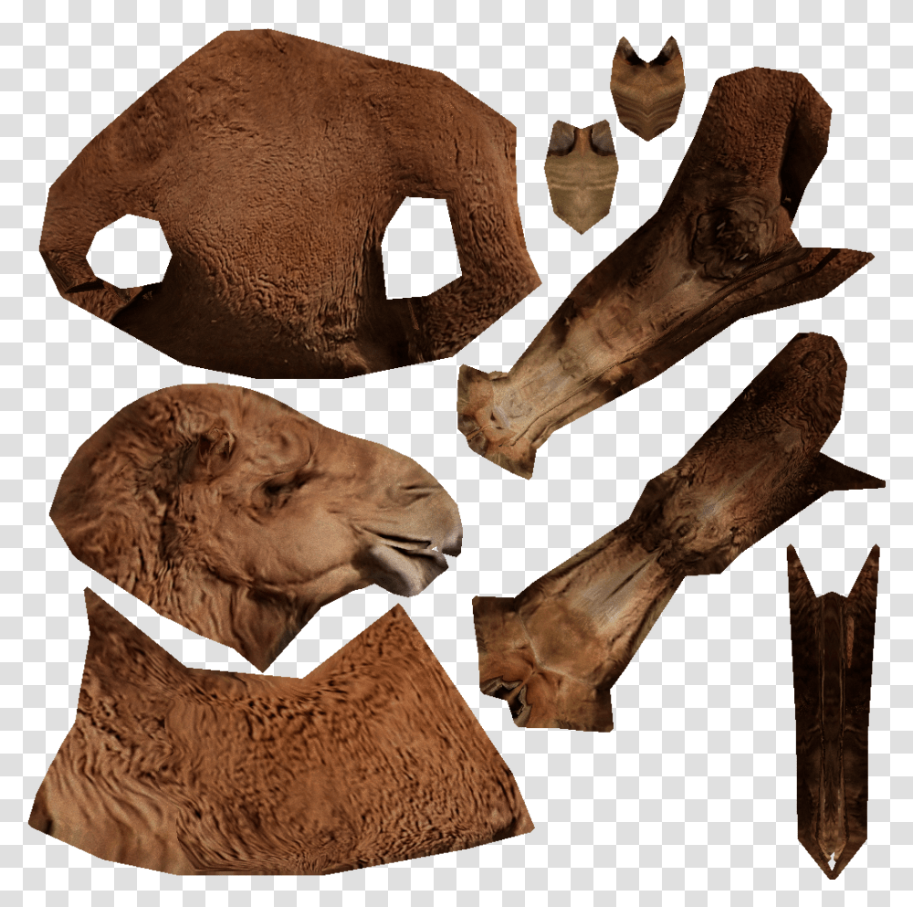 Masai Lion, Soil, Archaeology, Wood, Bronze Transparent Png