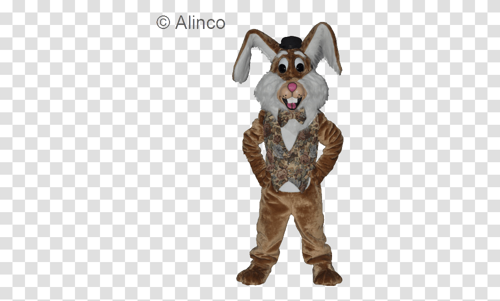 Mascot, Costume, Person, Performer Transparent Png