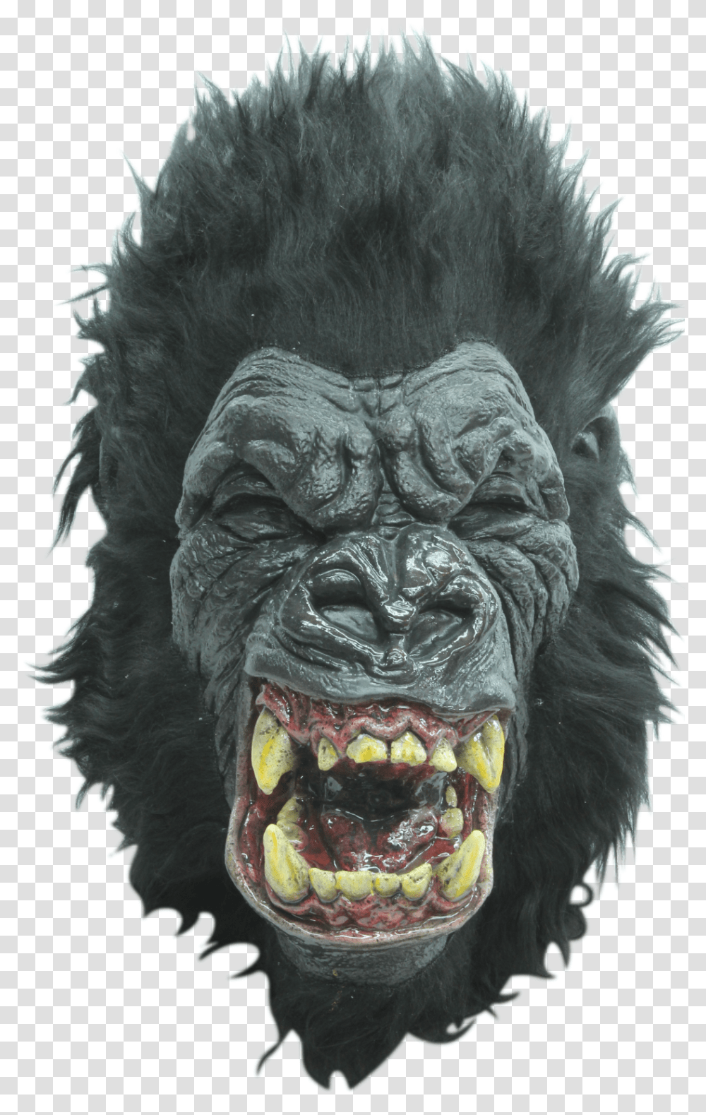 Mask, Ape, Wildlife, Mammal, Animal Transparent Png