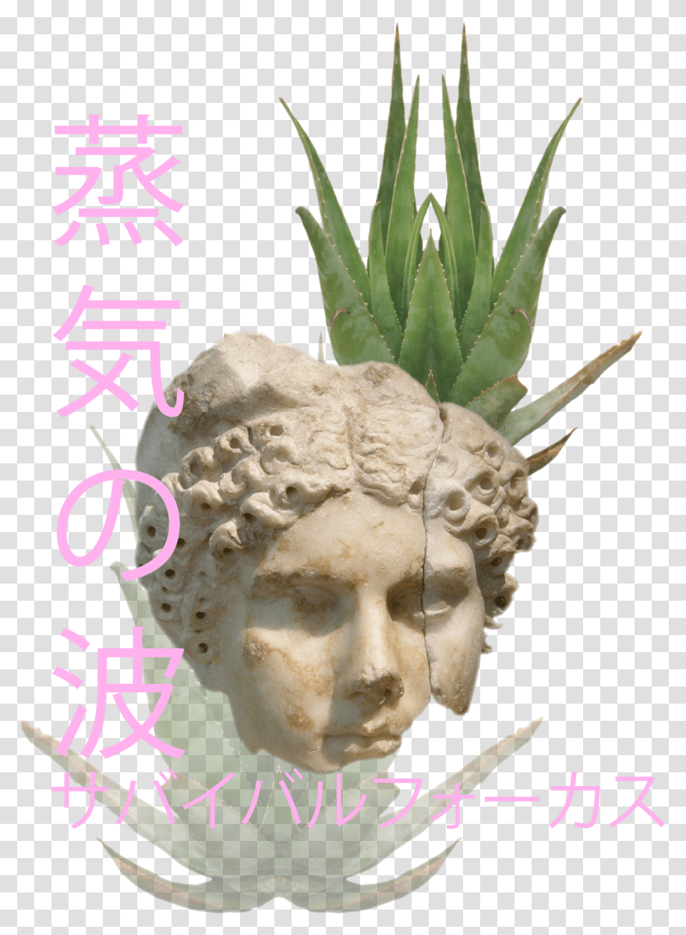 Mask, Plant, Potted Plant, Vase, Jar Transparent Png