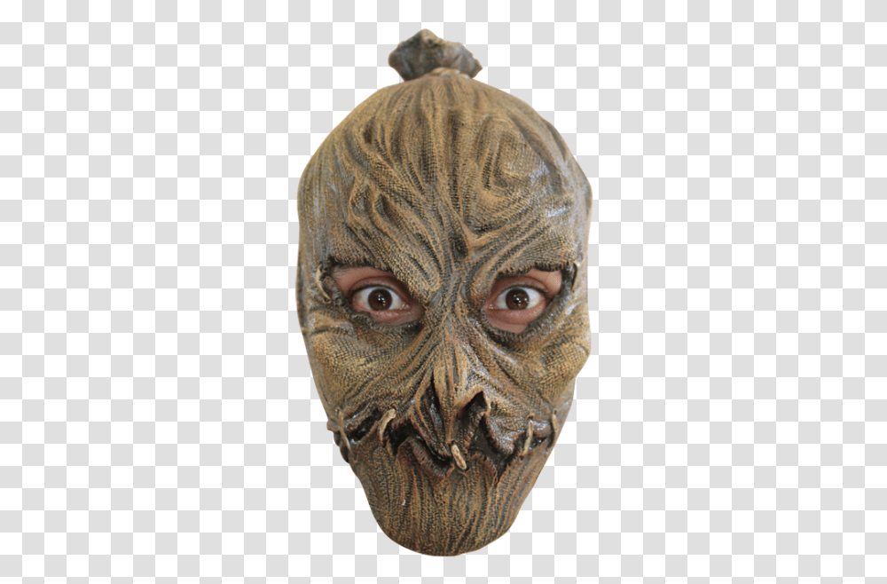 Mask Scarecrow, Head, Face, Person, Human Transparent Png