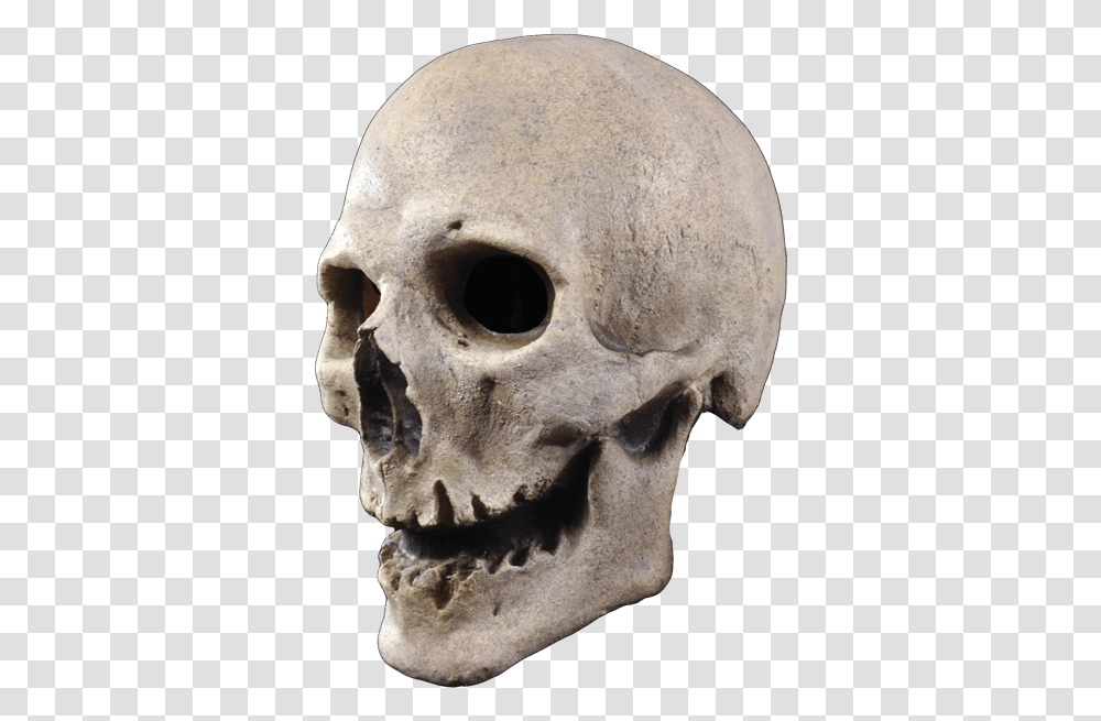 Mask Skeleton Skull Head For Halloween 436x639 Creepy, Jaw, Archaeology, Bear, Wildlife Transparent Png