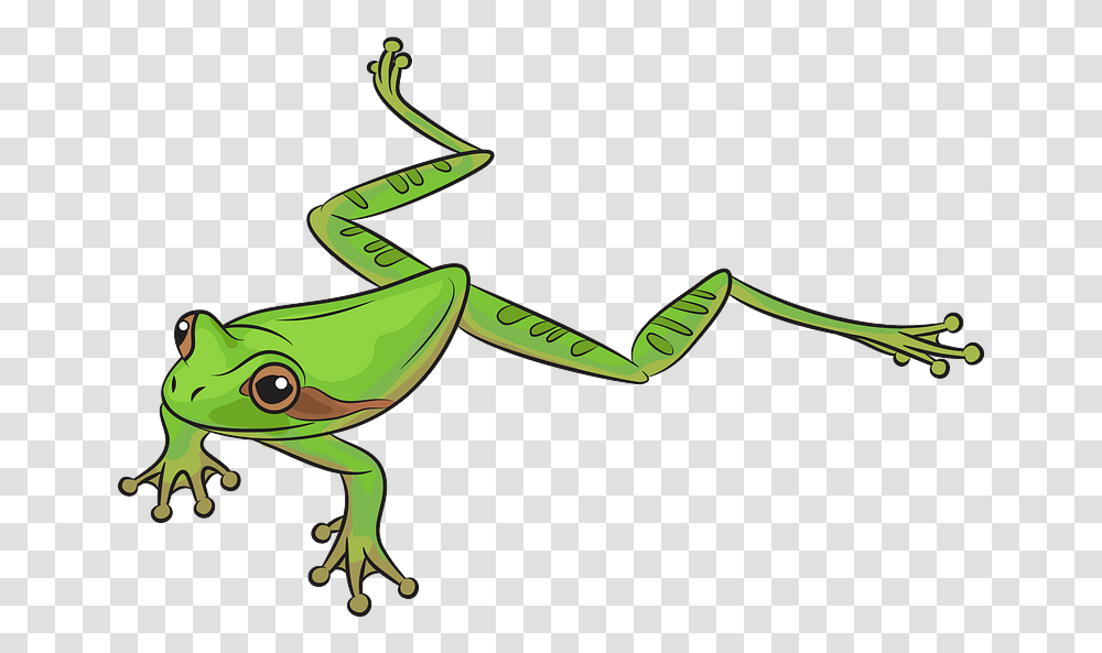 Masked Tree Frog Clipart Clipart Frogs, Animal, Wildlife, Amphibian, Axe Transparent Png