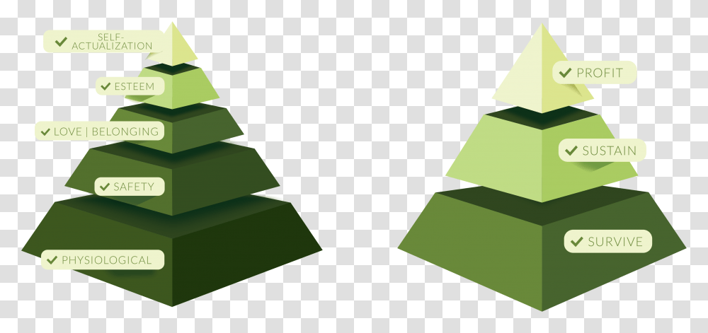 Maslows And Business Goals Pyramids Christmas Tree, Green, Plant Transparent Png