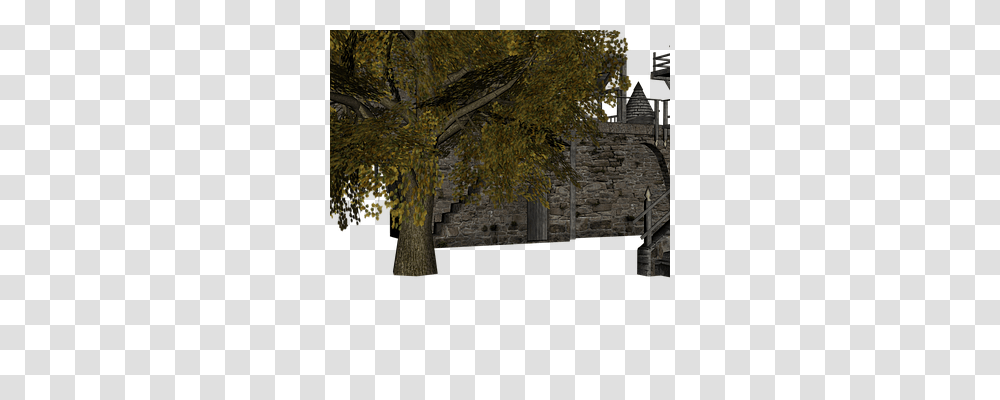 Masonry Architecture, Building, Tree, Plant Transparent Png