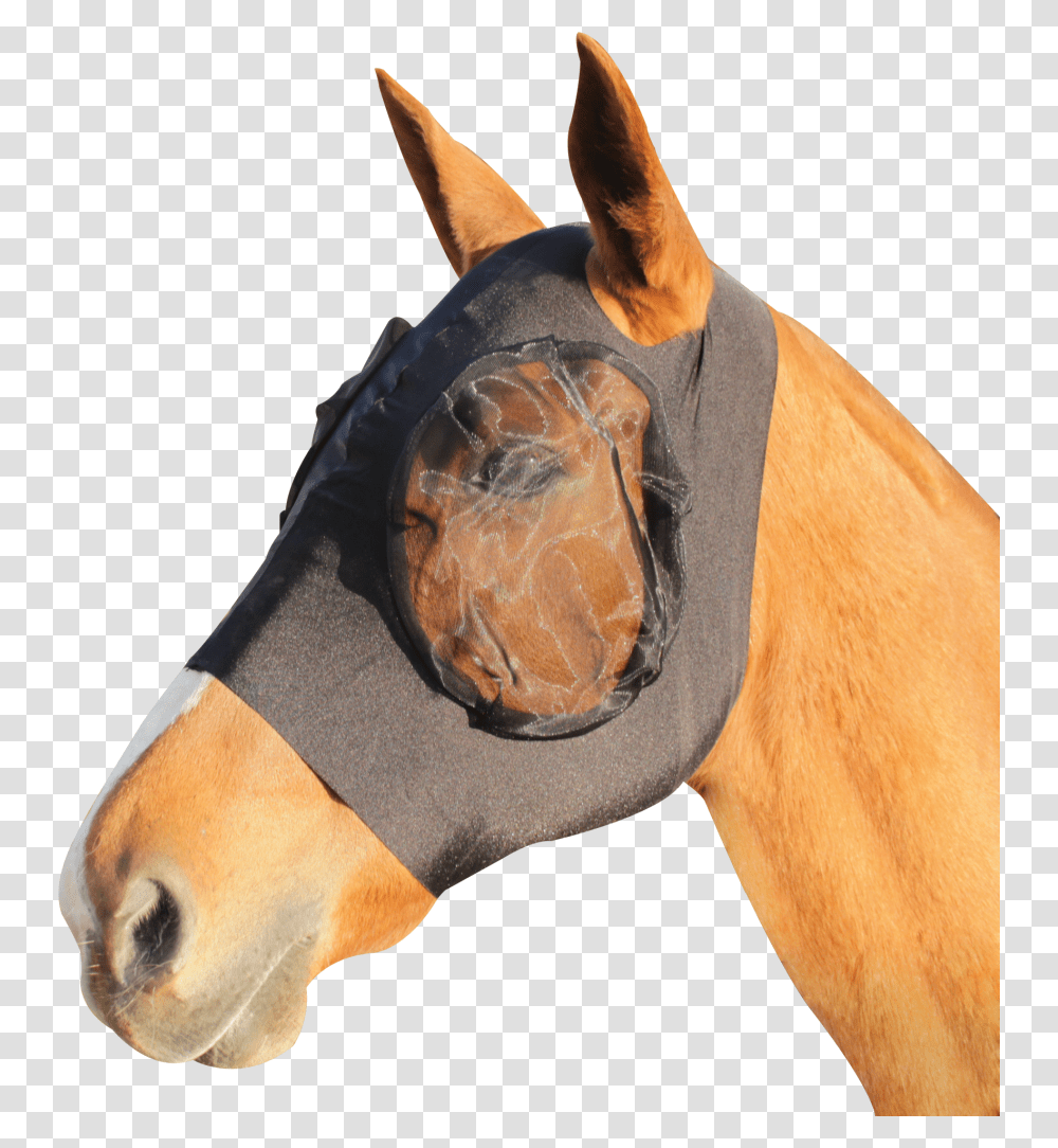 Masque Anti Mouche Cheval, Person, Mammal, Animal, Hand Transparent Png