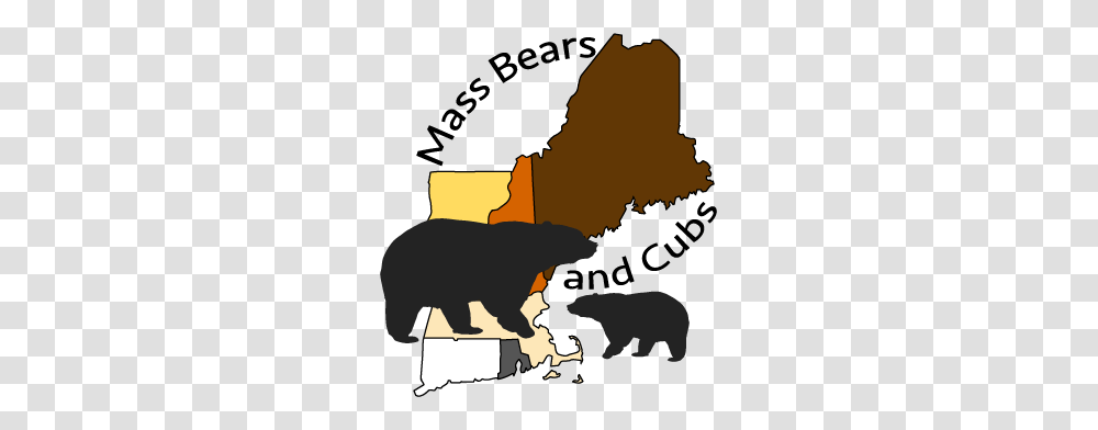 Mass Bears And Cubs, Mammal, Animal, Wildlife Transparent Png