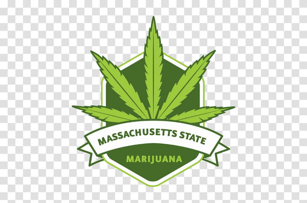 Mass State Marijuana, Plant, Weed, Hemp Transparent Png