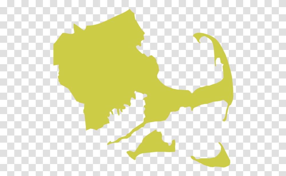 Massachusetts 2016 Election Results, Leaf, Plant, Tree, Person Transparent Png