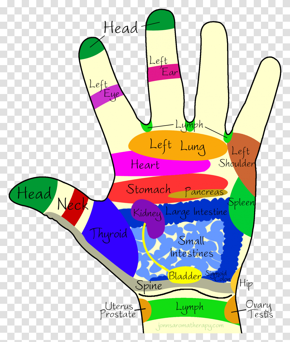 Massage Hands Clipart Colour Therapy On Hands, Apparel, Watering Can Transparent Png