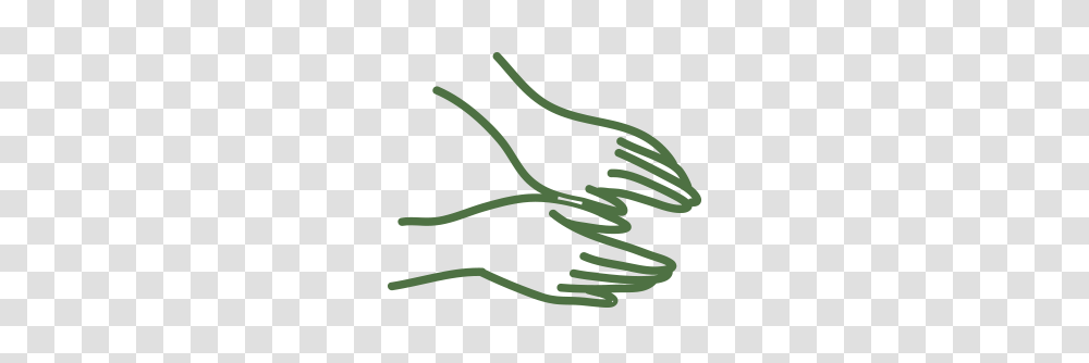 Massage, Plant, Produce, Food Transparent Png