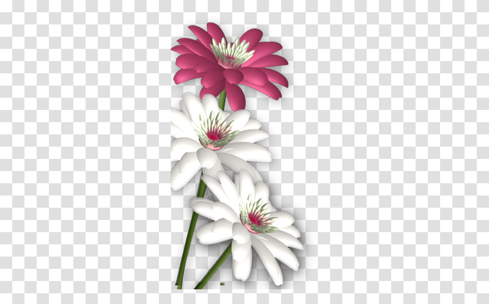 Massages Clipart Abstract Flower Photoshop Flower Background, Plant, Blossom, Dahlia, Anther Transparent Png