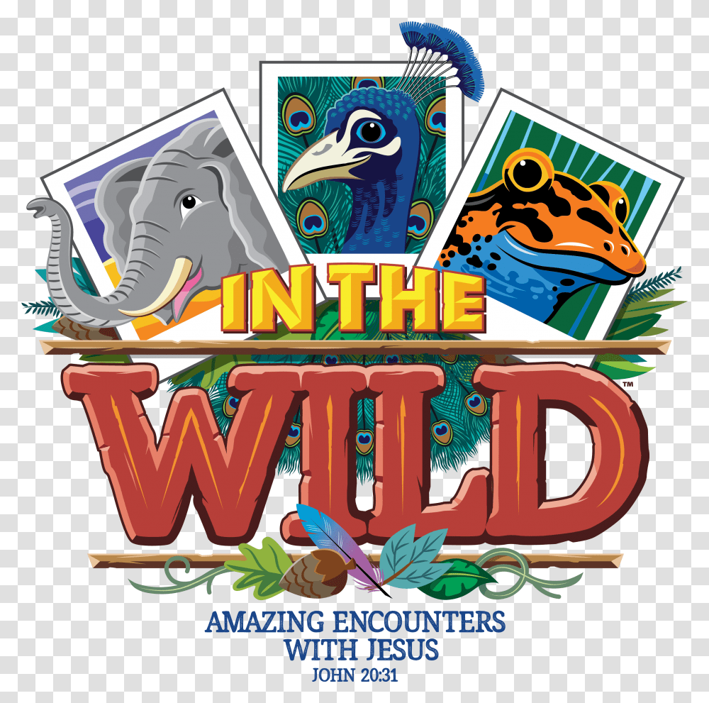 Master English Im The Wild Vbs, Game, Advertisement, Poster, Flyer Transparent Png