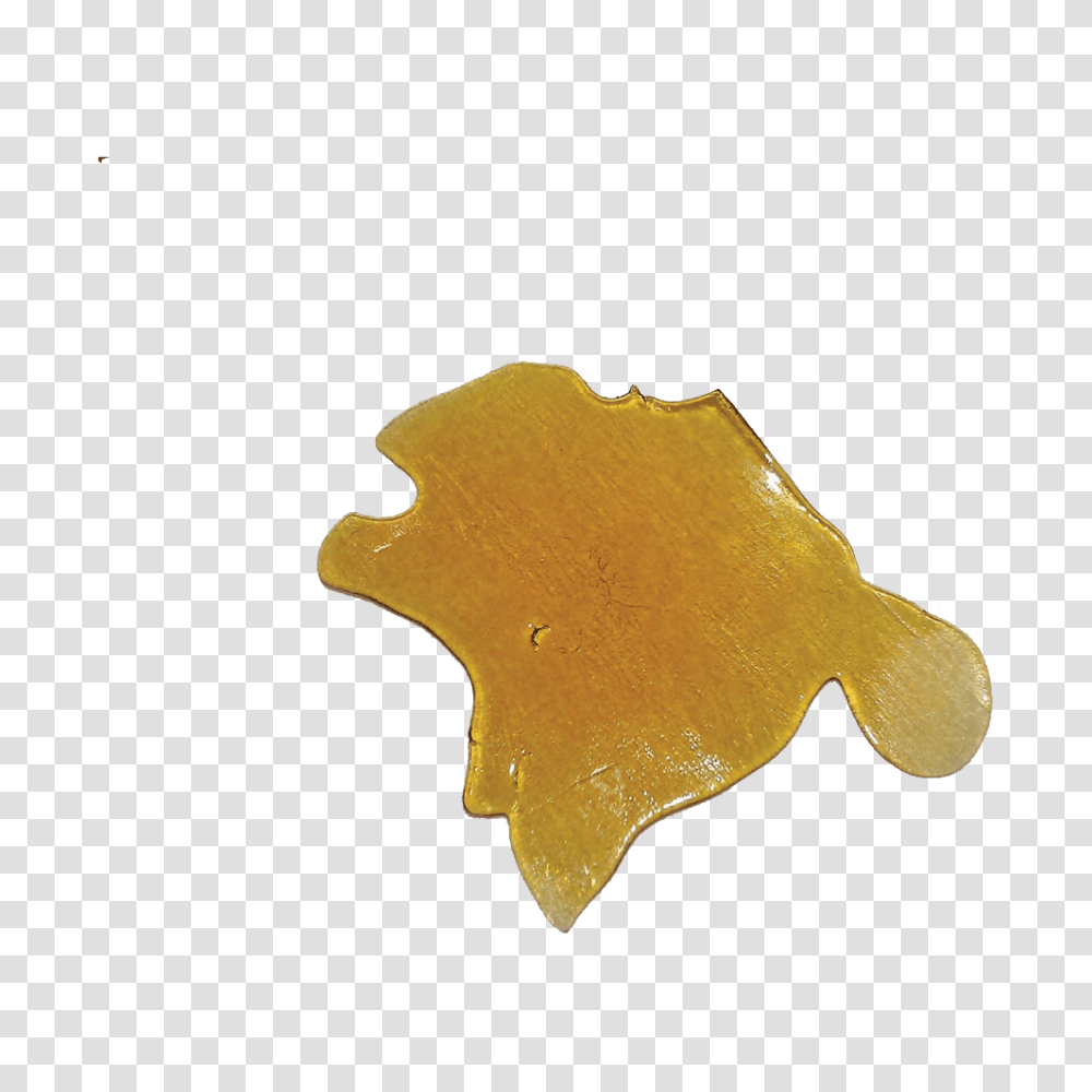 Master Kush Shatter, Leaf, Plant, Tree, Fungus Transparent Png