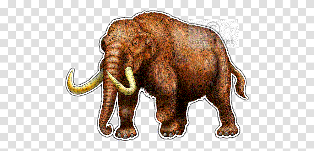 Mastodon Line Art Mastodon Drawing, Elephant, Wildlife, Mammal, Animal Transparent Png