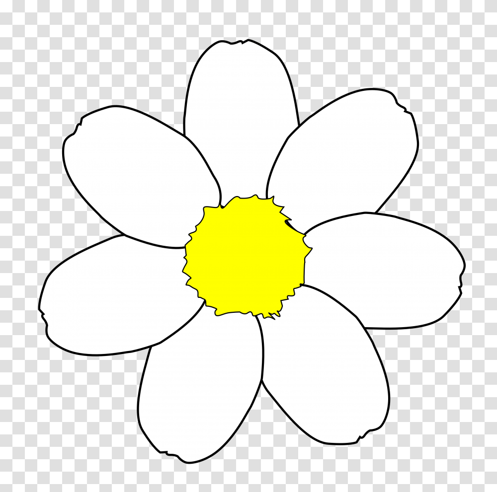 Mat Clip Art Black And White, Flower, Plant, Blossom, Daisy Transparent Png